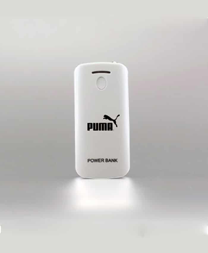 CUSTOMIZED POWER BANK WITH LED TORCH