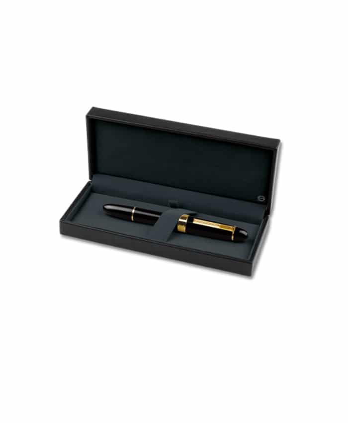 IRIDIUM SET PISTON FOUNTAIN PEN