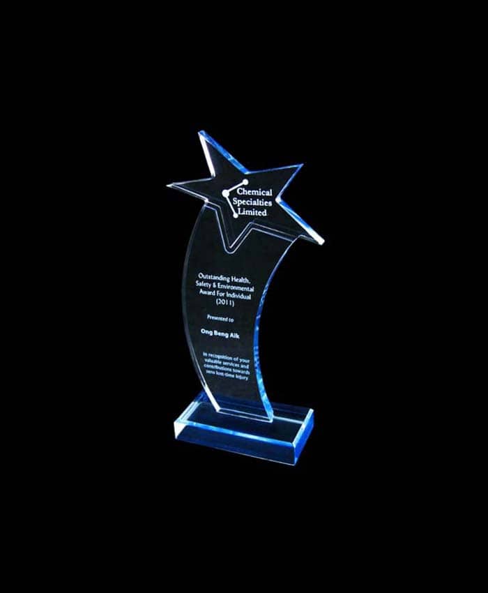 TRENDY CUSTOMIZED AWARD TROPHY