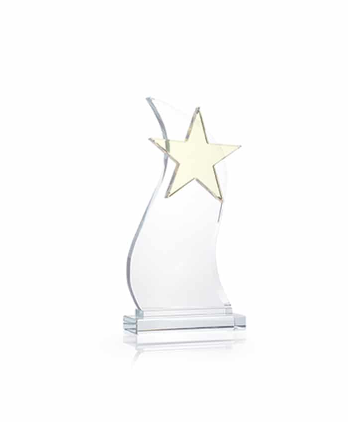 STAR PERSONALISED CRYSTAL AWARDS