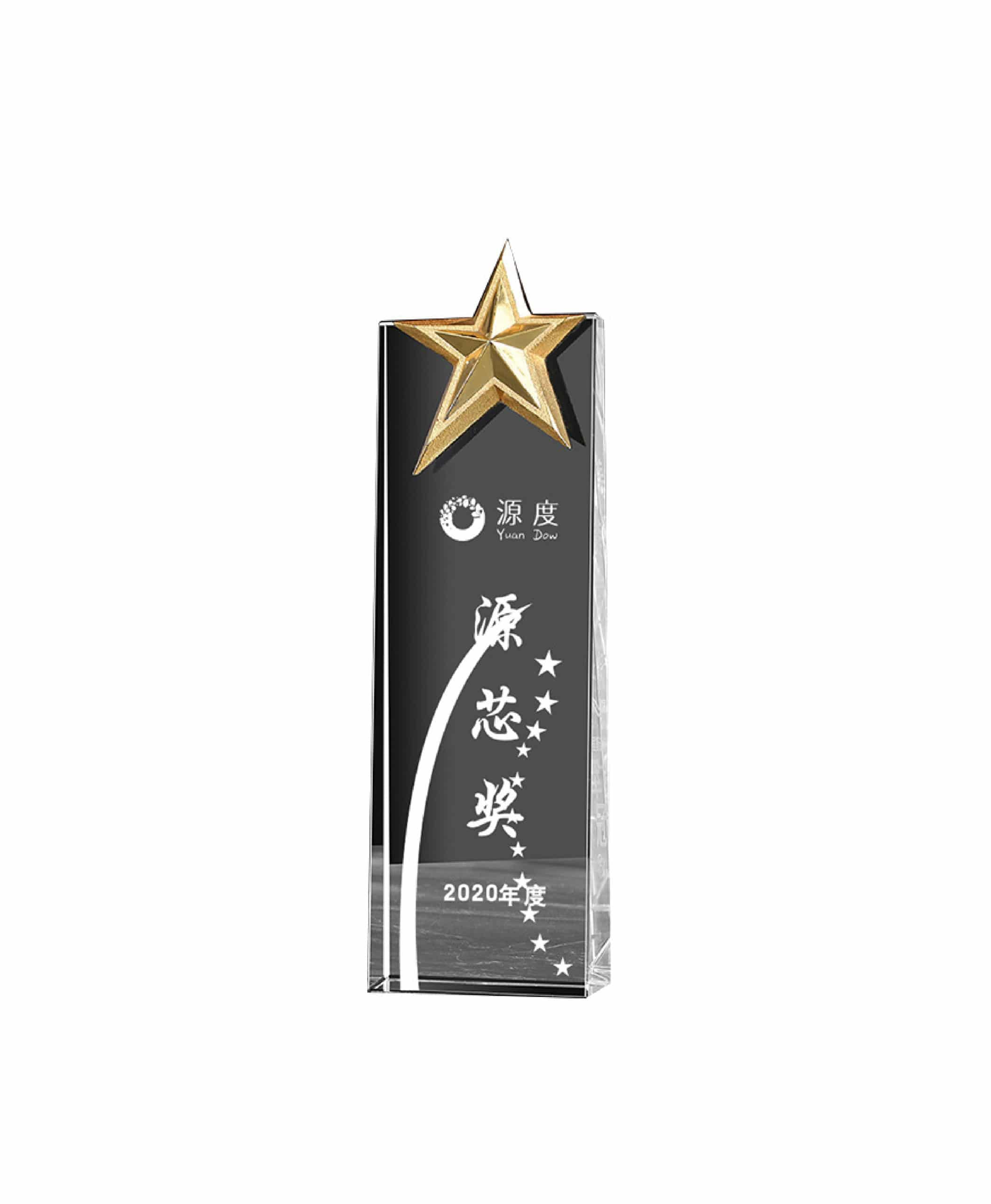 Personalised Star Crystal Trophy